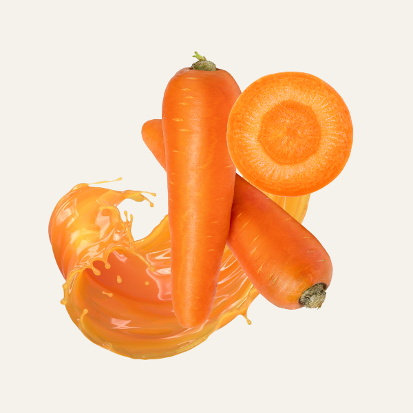 J4. Carrot  Juice (Jumbo)
